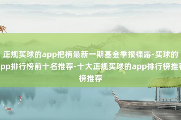 正规买球的app把柄最新一期基金季报裸露-买球的app排行榜前十名推荐-十大正规买球的app排行榜推荐