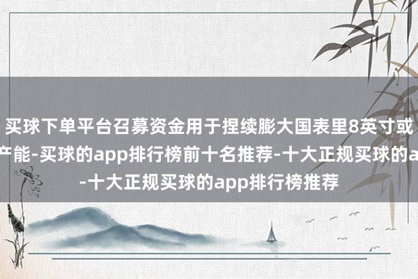 买球下单平台召募资金用于捏续膨大国表里8英寸或更大尺寸衬底产能-买球的app排行榜前十名推荐-十大正规买球的app排行榜推荐