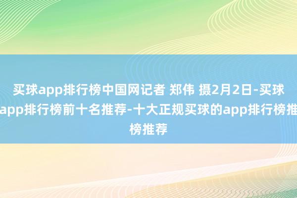 买球app排行榜中国网记者 郑伟 摄2月2日-买球的app排行榜前十名推荐-十大正规买球的app排行榜推荐