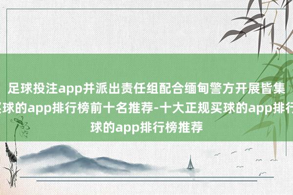 足球投注app并派出责任组配合缅甸警方开展皆集行径-买球的app排行榜前十名推荐-十大正规买球的app排行榜推荐