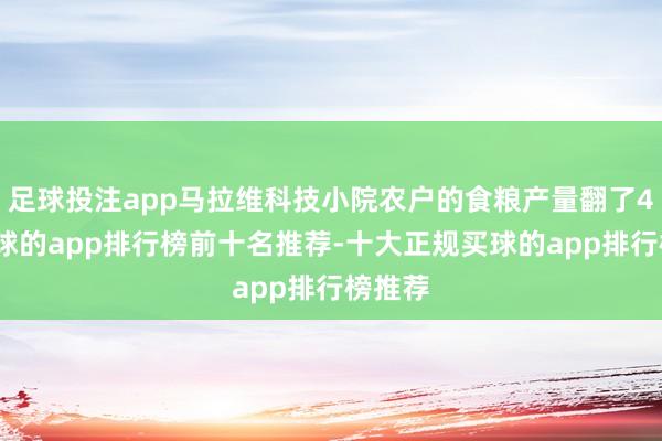 足球投注app马拉维科技小院农户的食粮产量翻了4倍-买球的app排行榜前十名推荐-十大正规买球的app排行榜推荐