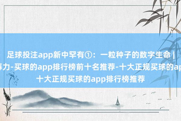 足球投注app新中罕有①：一粒种子的数字生命 | 数说新质坐蓐力-买球的app排行榜前十名推荐-十大正规买球的app排行榜推荐
