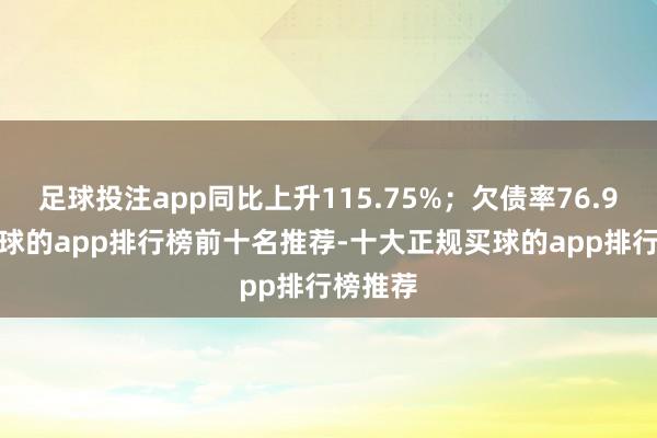 足球投注app同比上升115.75%；欠债率76.94%-买球的app排行榜前十名推荐-十大正规买球的app排行榜推荐