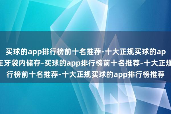买球的app排行榜前十名推荐-十大正规买球的app排行榜推荐使食品易在牙袋内储存-买球的app排行榜前十名推荐-十大正规买球的app排行榜推荐