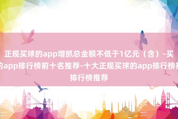 正规买球的app增抓总金额不低于1亿元（含）-买球的app排行榜前十名推荐-十大正规买球的app排行榜推荐