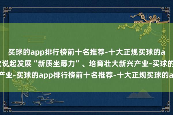 买球的app排行榜前十名推荐-十大正规买球的app排行榜推荐论述再次说起发展“新质坐蓐力”、培育壮大新兴产业-买球的app排行榜前十名推荐-十大正规买球的app排行榜推荐