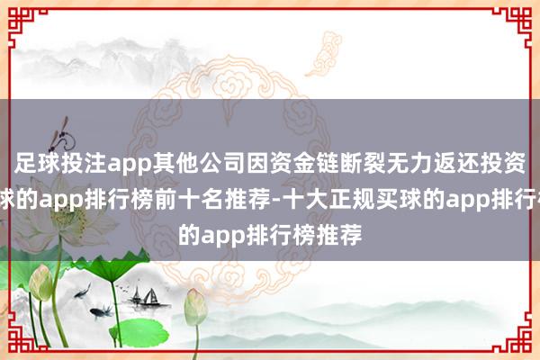 足球投注app其他公司因资金链断裂无力返还投资款-买球的app排行榜前十名推荐-十大正规买球的app排行榜推荐