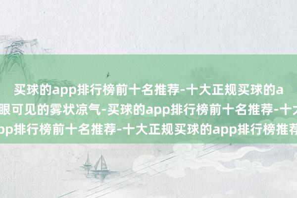 买球的app排行榜前十名推荐-十大正规买球的app排行榜推荐那些肉眼可见的雾状凉气-买球的app排行榜前十名推荐-十大正规买球的app排行榜推荐