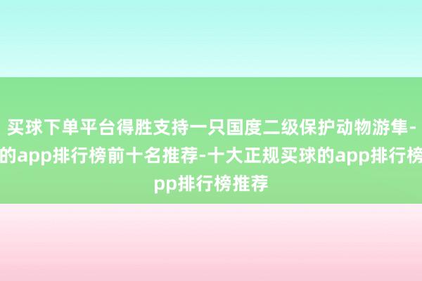 买球下单平台得胜支持一只国度二级保护动物游隼-买球的app排行榜前十名推荐-十大正规买球的app排行榜推荐