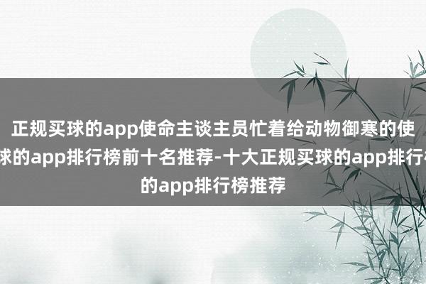 正规买球的app使命主谈主员忙着给动物御寒的使命-买球的app排行榜前十名推荐-十大正规买球的app排行榜推荐