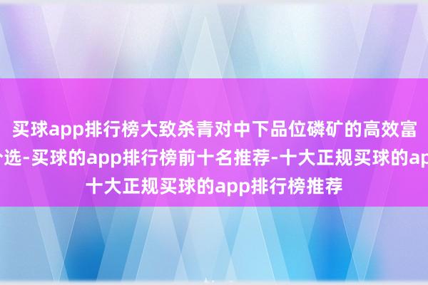 买球app排行榜大致杀青对中下品位磷矿的高效富集与雅致化分选-买球的app排行榜前十名推荐-十大正规买球的app排行榜推荐