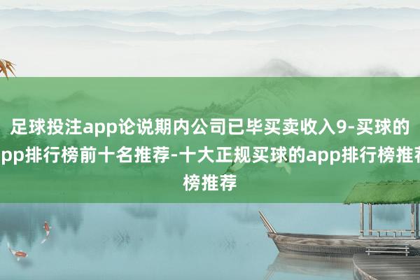 足球投注app论说期内公司已毕买卖收入9-买球的app排行榜前十名推荐-十大正规买球的app排行榜推荐