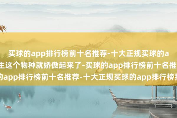 买球的app排行榜前十名推荐-十大正规买球的app排行榜推荐东说念主这个物种就娇傲起来了-买球的app排行榜前十名推荐-十大正规买球的app排行榜推荐