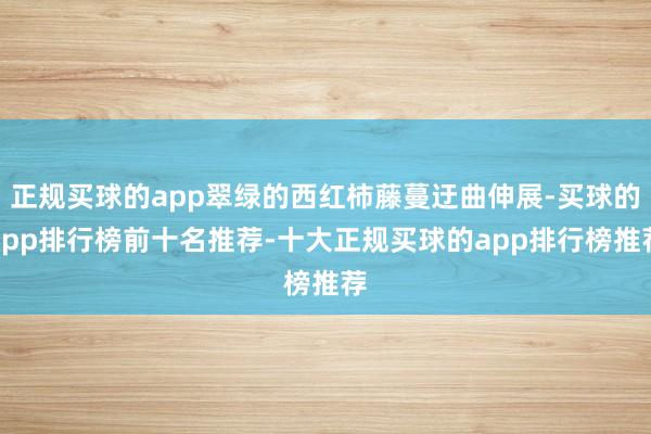 正规买球的app翠绿的西红柿藤蔓迂曲伸展-买球的app排行榜前十名推荐-十大正规买球的app排行榜推荐