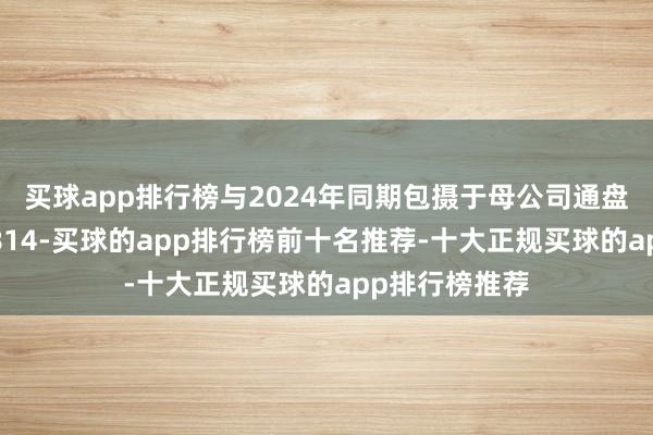 买球app排行榜与2024年同期包摄于母公司通盘者的净利润-814-买球的app排行榜前十名推荐-十大正规买球的app排行榜推荐