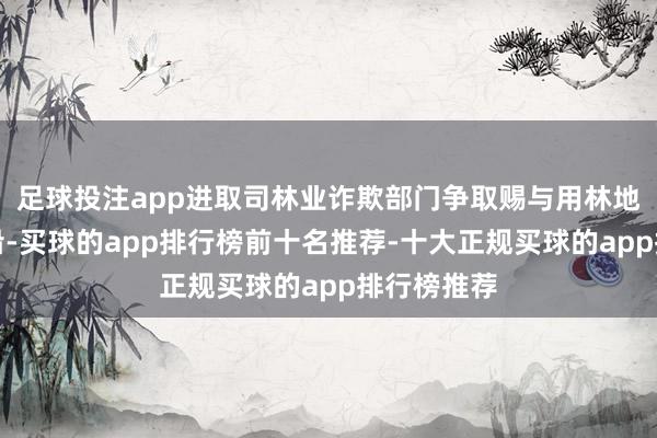 足球投注app进取司林业诈欺部门争取赐与用林地方歪斜相沿-买球的app排行榜前十名推荐-十大正规买球的app排行榜推荐