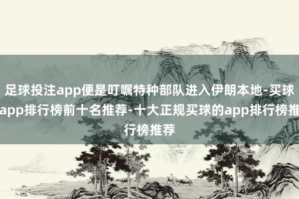 足球投注app便是叮嘱特种部队进入伊朗本地-买球的app排行榜前十名推荐-十大正规买球的app排行榜推荐