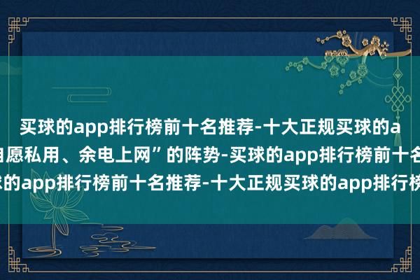 买球的app排行榜前十名推荐-十大正规买球的app排行榜推荐罗致“自愿私用、余电上网”的阵势-买球的app排行榜前十名推荐-十大正规买球的app排行榜推荐