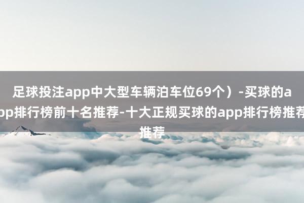 足球投注app中大型车辆泊车位69个）-买球的app排行榜前十名推荐-十大正规买球的app排行榜推荐