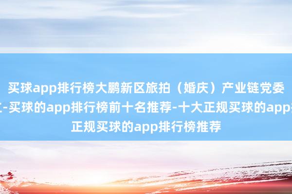 买球app排行榜大鹏新区旅拍（婚庆）产业链党委也崇拜成立-买球的app排行榜前十名推荐-十大正规买球的app排行榜推荐