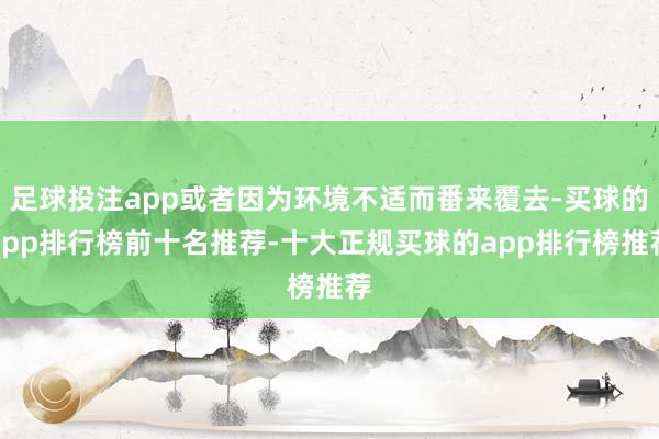 足球投注app或者因为环境不适而番来覆去-买球的app排行榜前十名推荐-十大正规买球的app排行榜推荐